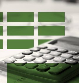 Principles Of Public Sector Accounting
