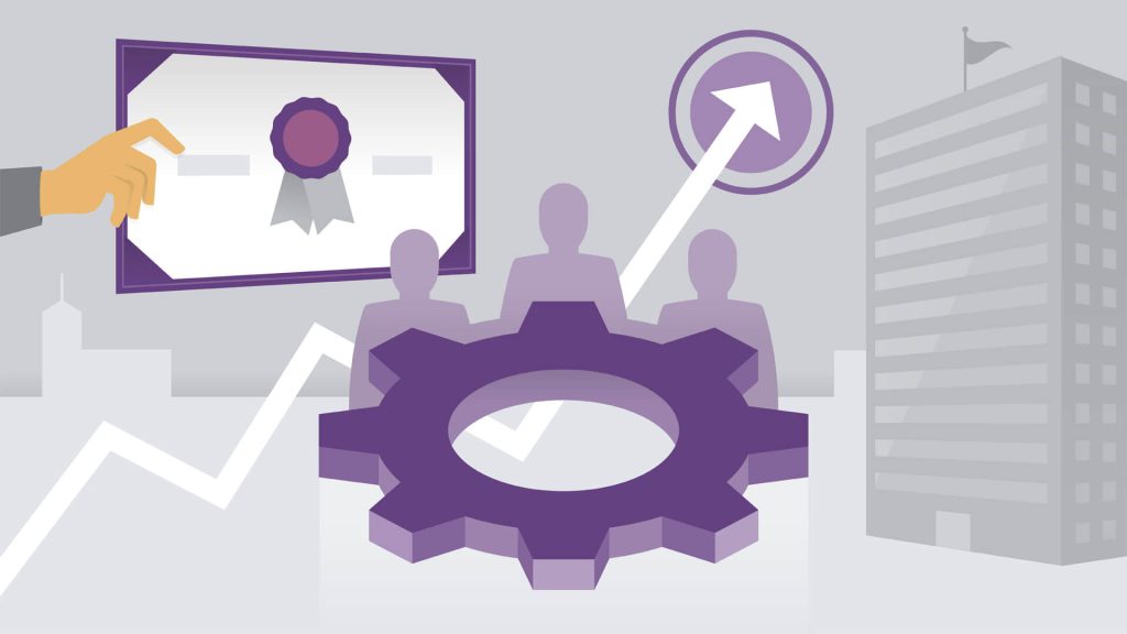 Organization Culture, Diversity, and Ethics