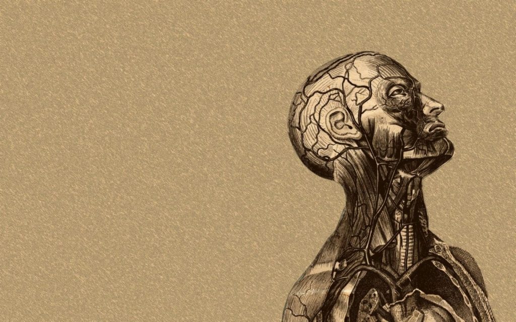 Introduction to Anatomy and Physiology
