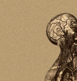 Introduction to Anatomy and Physiology