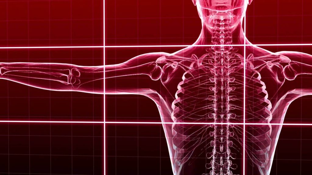 Basic Musculoskeletal Considerations in Occupational Anatomy and Physiology