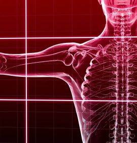 Basic Musculoskeletal Considerations in Occupational Anatomy and Physiology