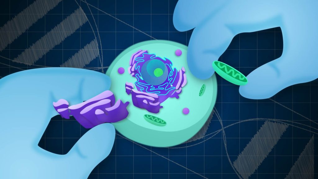 Chemical Processes in Human Life