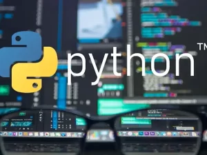 Master Python Programming From A To Z